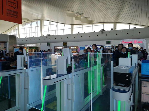 烏魯木齊機場高科技設備提升服務，信息技術咨詢服務助力智慧出行